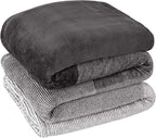 PAVILIA Gray Ombre Fleece Throw Blanket for Couch, Soft Flannel Blanket for Sofa Bed Room, Plush Lightweight Light Grey Gradient Blanket, Cozy Microfiber Decorative Gift Throw, 50x60