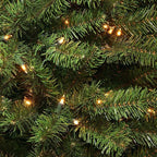 Christmas Lights - Battery Operated String Lights 50 LED String Lights Mini Lights with Auto-Timer and 8 Lighting Modes for Christmas Wreath Party Wedding Garden Home Decoration, Warm White, 2 Pack