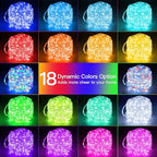 Ollny USB Rope Lights Outdoor Color Changing with Remote, 33FT 100 LED Waterproof String Lights, 18 Colors Fairy Christmas Light for Indoor Bedroom Party Garden Wedding Holiday Decorations