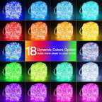 Ollny Rope Lights Outdoor Color Changing, 33FT 100 LED Waterproof Plug in Outdoor String Lights with Remote, 16 Colors Twinkle Christmas Lights for Outside Indoor Party Easter Holiday Decorations