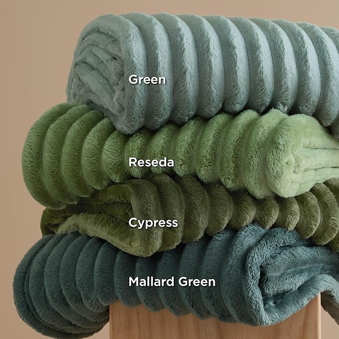 Bedsure GentleSoft Reseda Fleece Twin Blanket for Couch - Super Soft Cozy Blankets for Women, Cute Small Throws for Girls, 60x80 Inches