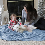 Bedsure GentleSoft Fleece King Size Blankets for Bed Light Blue - Soft Lightweight Plush Cozy Fuzzy Luxury Microfiber, 108x90 inches