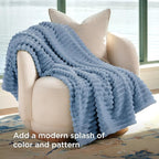 Bedsure GentleSoft Throw Blanket for Couch - Cozy Soft Blankets for Women, Cute Small Throws for Girls, Ashley Blue, 50x70 Inches