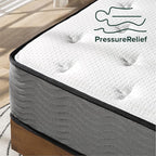 ZINUS 10 Inch Support Plus Pocket Spring Hybrid Mattress, Twin, Strong Coils for Durable Support, Pocket Innersprings for Motion Isolation, Mattress in A Box