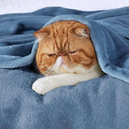 Bedsure GentleSoft Fleece Blanket Twin Size Washed Blue - 300GSM Lightweight Plush Fuzzy Cozy Soft Warm Blanket for Bed, Sofa, Couch, Travel, Camping, 60x80 inches