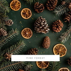 ScentAir Whisper Home Monthly Plug-in Refill, Fragrance Cartridge for Home and Office, Pine Forest