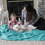 Bedsure GentleSoft Fleece Blankets Twin Size River Blue - 300GSM Lightweight Plush Fuzzy Cozy Soft Blanket for Bed, Sofa, Couch, Travel, Camping, 60x80 inches