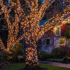 Christmas Lights 100 Count Mini Clear Lights 32ft White Wire Christmas Tree String Lights Set for Outdoor Indoor Christmas Decorations Wedding Decorations Valentines Day Decor,UL Certified (32feet)