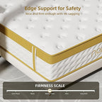 Cooling Gel Memory Foam Hybrid Mattress, 12 Inch Queen Size Mattress in A Box with Pocket Springs for Back Pain & Pressure Relief, Medium Firm Feeling with CertiPUR-US Certified Foam