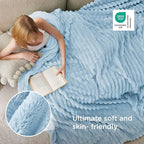Bedsure GentleSoft Blue Fleece Blanket for Couch - Cozy Soft Blankets for Women, Cute Small Throws for Girls, Light Blue, 108x90 Inches