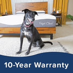 Perfect Cloud Made in The USA UltraPlush Charcoal-Infused 10 inch Memory Foam Mattress - Pressure Relieving - Bed-in-a-Box (RV Short Queen)