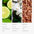 Aroma360 | Disney - A Whole New World Fragrance Oil Blend | Disney Princess Jasmine | Luxury Essential Oil Diffuser | Aromatherapy Scent Diffuser Oil | Bergamot Orange Blossom Rose 1.7 fl oz 50 mL