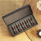 AirScent Hotel Diffuser Oil Gift Set - Metro City Hotel Scents - 10 mL, 0.34 fl oz Fragrance Oil Set - Inspired by The Hotel Costes Paris, Fairmont, London St James, The Baccarat Hotel and Others