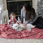 Bedsure GentleSoft Fleece Throw Blanket for Couch Dusty Rose - Lightweight Plush Fuzzy Cozy Soft Blankets and Throws for Sofa, 50x60 inches